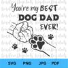 Illustration with the text "You're my best dog dad ever!" showing a human fist and a dog's paw bumping, surrounded by small paw prints. Symbols for SVG, PNG, JPG, and PDF formats are at the bottom.