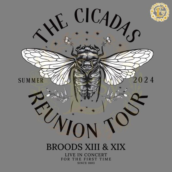 The Cicada Reunion Tour Concert 2024 Brood XIII XIX PNG