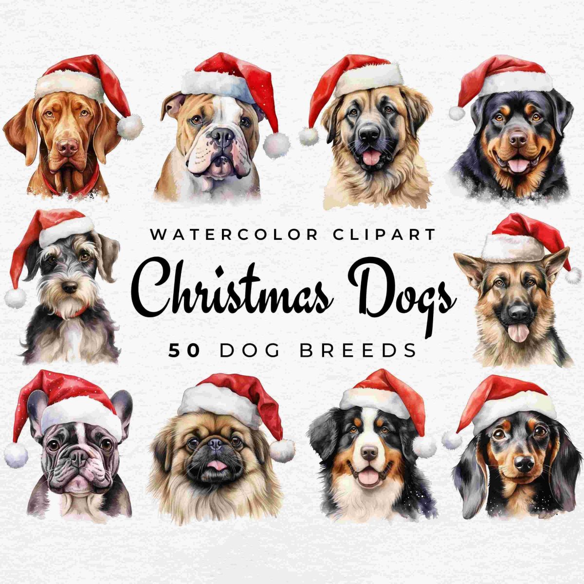 50 Watercolor Christmas Dog Breeds PNG Bundle Festive Santa Hat