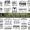 Adult Svg Bundle, Funny Adult Bundle, Adult Quotes SVG, Funny quotes SVG Bundle, Sarcastic SVG, Adults Svg, Rude Svg, Crafting Bundle