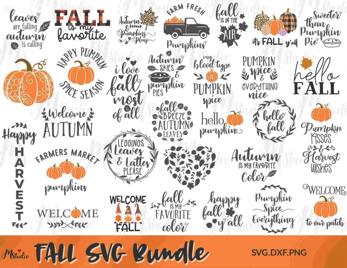 Autumn Bliss Fall SVG Bundle for Happy Season