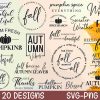 Autumn Delight Fall SVG Bundle Hello Fall Thanksgiving Cut Files