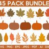 Autumn Foliage SVG Bundle Pumpkin Leaves Maple Cricut Silhouette