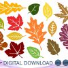 Autumn Leaf Bundle Fall Leaves SVG DXF EPS Clipart for Cricut