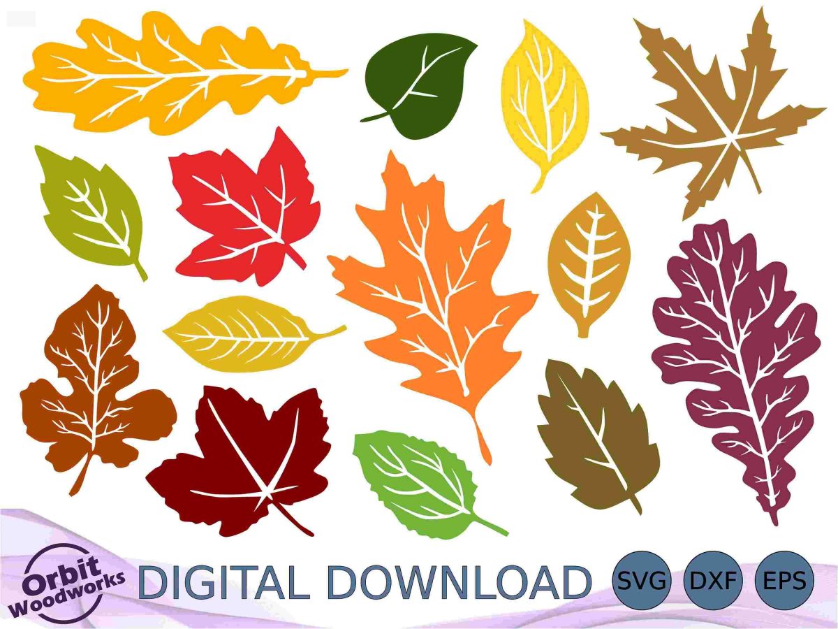 Autumn Leaf Bundle Fall Leaves SVG DXF EPS Clipart for Cricut