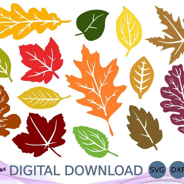 Autumn Leaf Bundle Fall Leaves SVG DXF EPS Clipart for Cricut