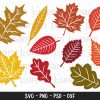 Autumn Leaves Svg Bundle Fall png dxf Clipart for