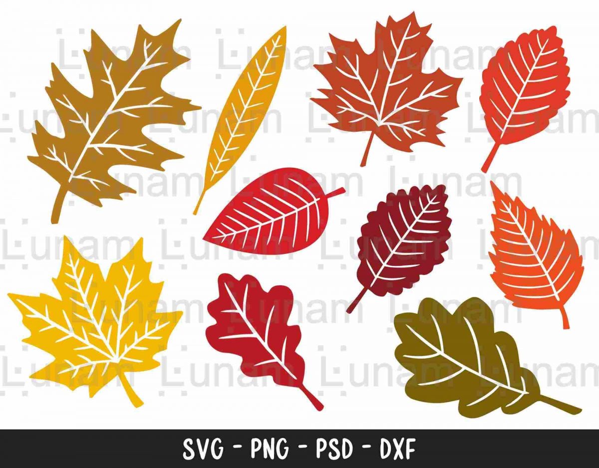 Autumn Leaves Svg Bundle Fall png dxf Clipart for