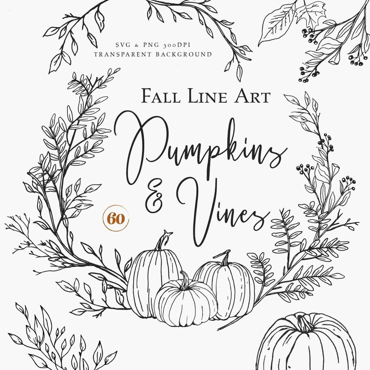 Autumn Pumpkin SVG Fall Line Art Hand Drawn Vines Pumpkins Halloween