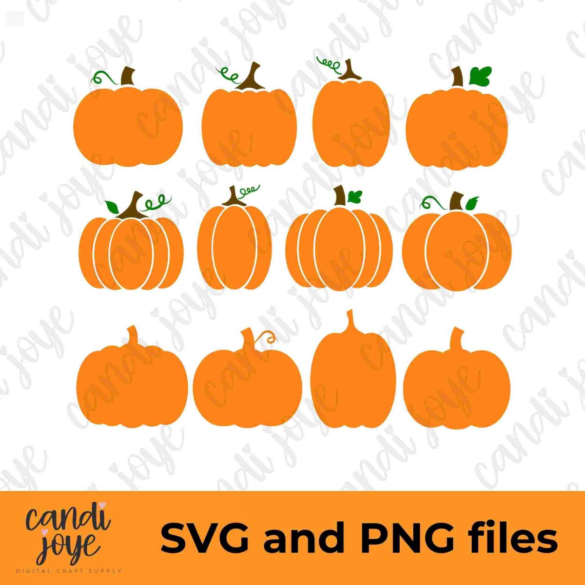 Autumn Pumpkin SVG PNG Bundle for Thanksgiving Fall Clipart