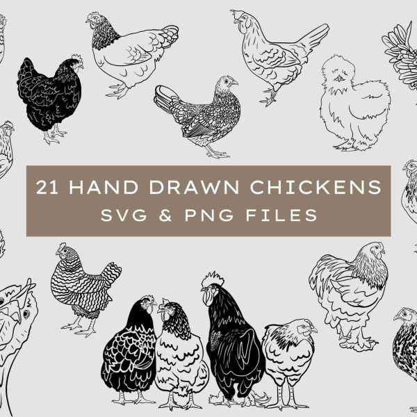 Chicken SVG | Farmhouse Svg | Hand drawn chicken | Chicken breeds | Chicken Clipart | Cut File | Chicken coop sign