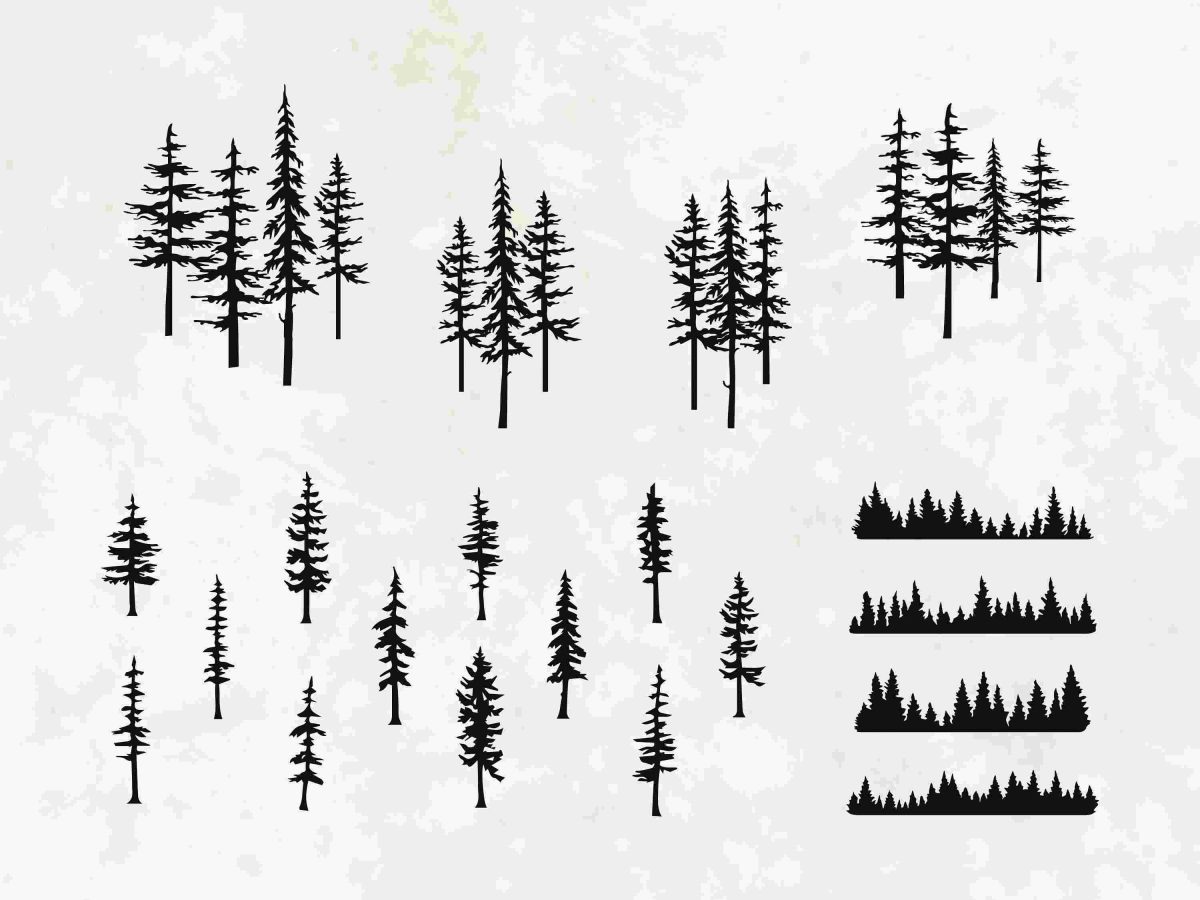 Evergreen Pine Tree Silhouette SVG Clipart