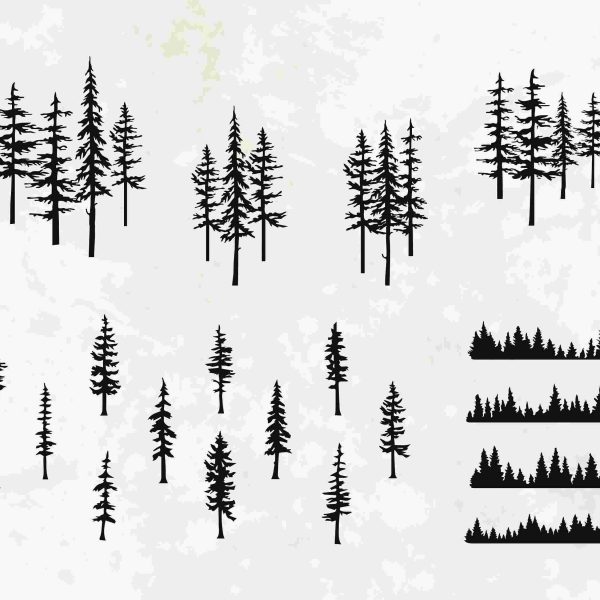 Evergreen Pine Tree Silhouette SVG Clipart