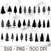 Evergreen Pine Trees Bundle SVG Silhouettes PNGs Instant Download