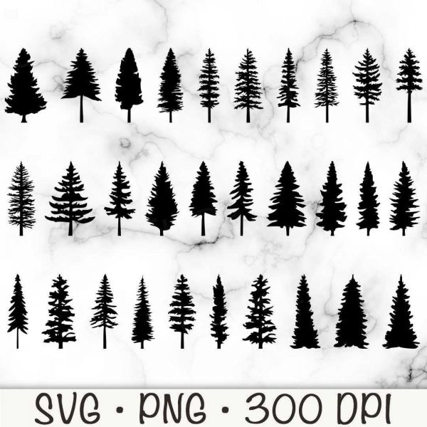 Evergreen Pine Trees Bundle SVG Silhouettes PNGs Instant Download