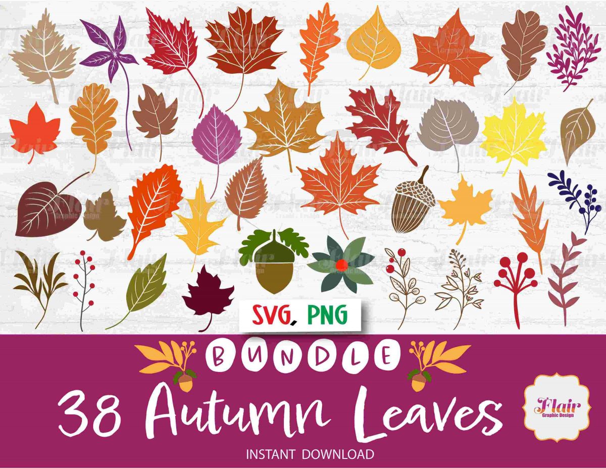 Fall Foliage Bundle Autumn Leaves Clipart SVG PNG for Halloween