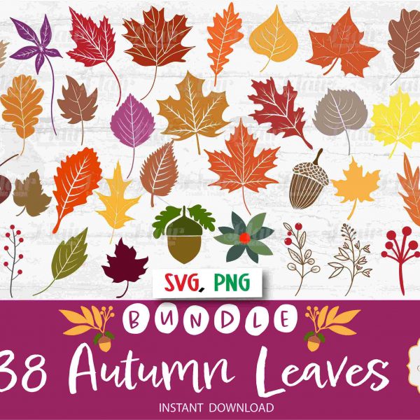 Fall Foliage Bundle Autumn Leaves Clipart SVG PNG for Halloween