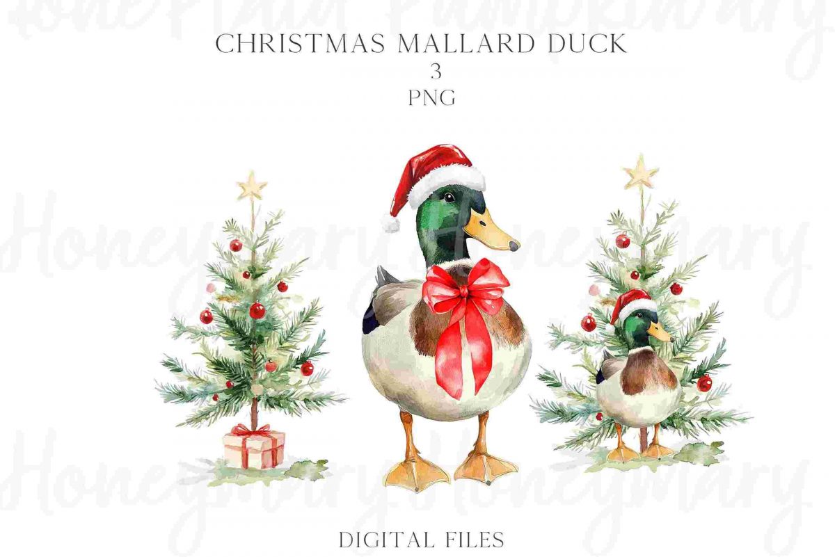 Festive Mallard Duck in Santa Hat Watercolor PNG Clipart with