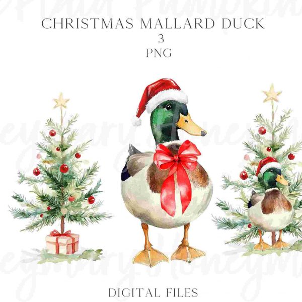 Festive Mallard Duck in Santa Hat Watercolor PNG Clipart with