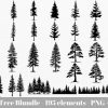 Forest svg Bundle Evergreen Pine Fir Trees Mountain Instant Download