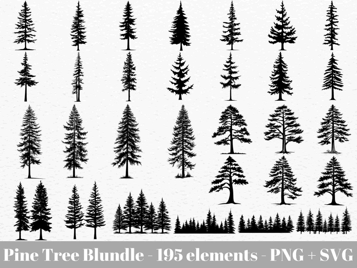 Forest svg Bundle Evergreen Pine Fir Trees Mountain Instant Download