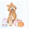 Grandmillennial Doodles Watercolor Golden Labradoodle Pumpkin SVG