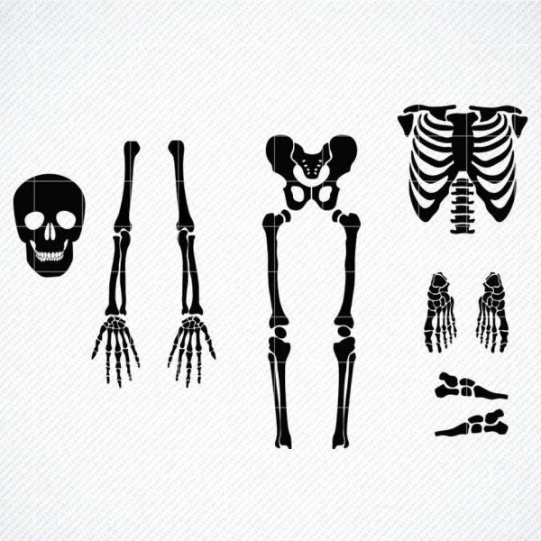 Halloween Skeleton Parts SVG PNG for Cricut Cut Files