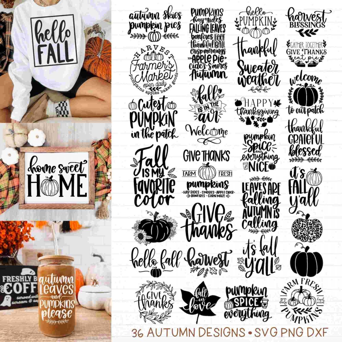 Handlettered Fall SVG Bundle Autumn Thanksgiving Designs Pumpkin