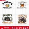 Magical Pumpkin Patch SVG Bundle Wizard Fall Vibes Spice Girl