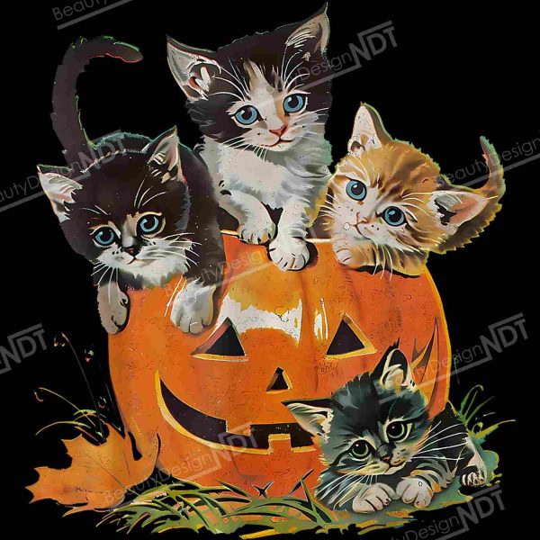 Retro Cat Pumpkin Halloween Season Vintage 90s Spooky Floral png