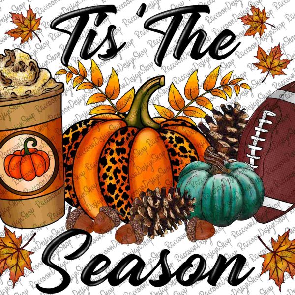 Seasonal Football Fall PNG Designs for Sublimation Pumpkins Leopard