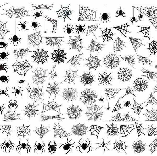 Spider Web SVG Bundle Clipart Cut Files for Cricut Vector