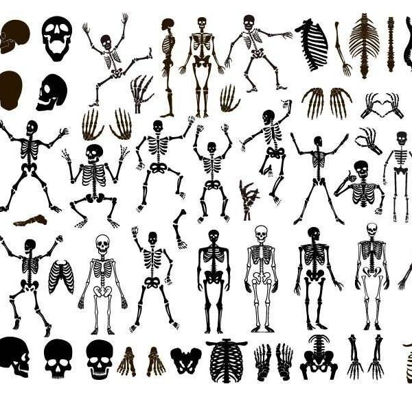 Spooky Skeleton Bundle SVG Clipart Cut Files for Halloween