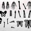 Spooky Skeleton Parts SVG Clipart for Halloween Fun