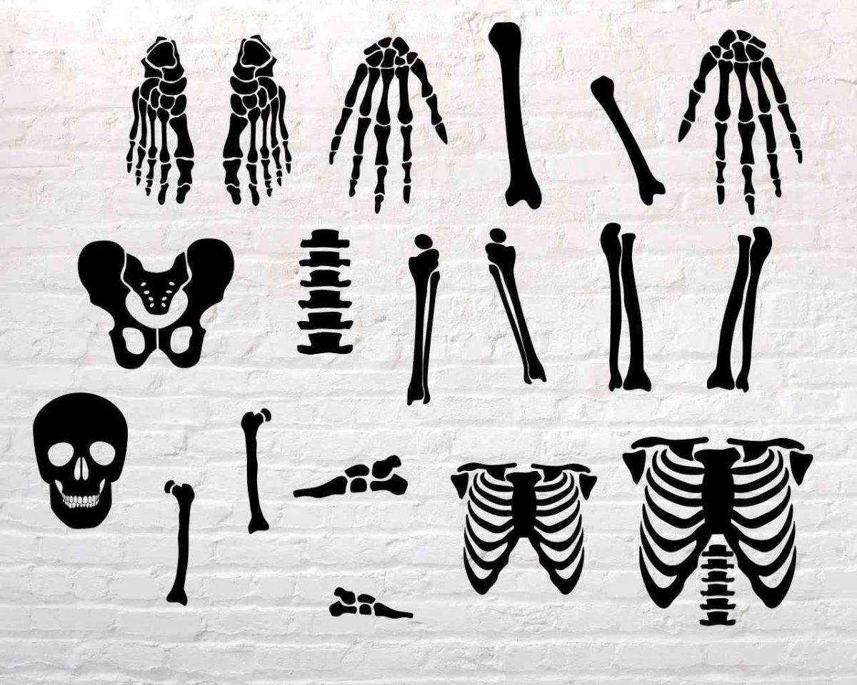 Spooky Skeleton Parts SVG Clipart for Halloween Fun