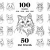 Ultimate Cat SVG Line Art Collection 50 Breeds Cat PNG Clips Kitten