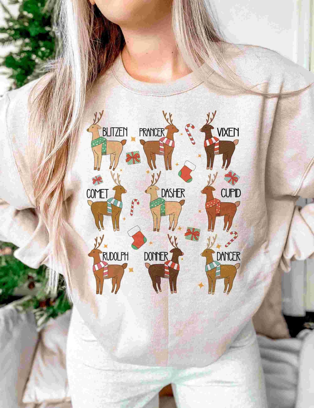 Vintage Christmas PNGs Festive Reindeer Rudolph Groovy Sublimation